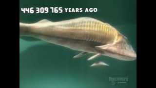 Cephalaspis Prehistoric Fish [upl. by Repard569]