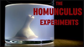 The Homunculus Experiments [upl. by Gusti]