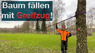 Greifzug im Einsatz fällen aufarbeiten und Brennholz machen Meterholz Alternative zur Seilwinde [upl. by Clemente2]