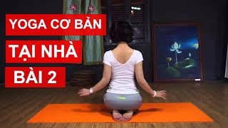 Yoga cơ bản tại nhà  Bài 2 Gia tăng sức mạnh cho cơ bắp và các khớp xương cùng Nguyễn Hiếu Yoga [upl. by Olwena]