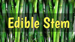 Edible Stems  edible stems name  plants edible stems  edible stems name in english with pictures [upl. by Carmelo425]