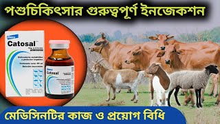 Catosal Injection প্রয়োগের পরিমাণ ও কাজ  Veterinary treatment knowledge [upl. by Varini]