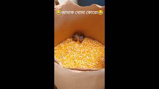 Pls amak khoma koro dao 🤣🤣😀funny bangla new comedy viralvideo ytshorts shortvideo shorts [upl. by Anit]