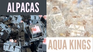 Alpacas and Aqua Kings SOUNDS  KBD67 Lite [upl. by Amada]