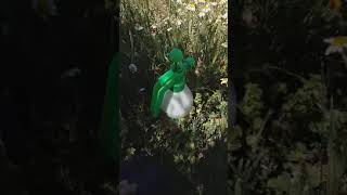 هرمون  floratone  تثبيت الزهور شجرة الزيتون أو غيرها من النباتات الزهرية [upl. by Etnahs]