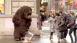 Bear in NYC Prank [upl. by Ojyram]