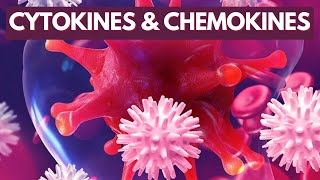 Immunology Lecture 8  Cytokines and Chemokines [upl. by Nomyar]