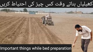 Land preparation of capsicum  شملہ مرچ کی زمین کی تیاری  capsicum farming  part 5 [upl. by Shedd]