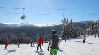 Flachau  Skigebied review  Wintersporters [upl. by Yelsehc197]