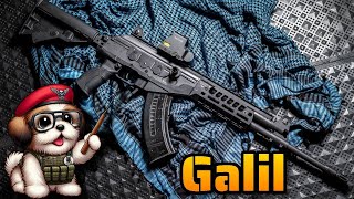 Fusil de Asalto Galil  Historia Características y Variantes [upl. by Weber]