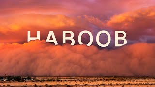 Haboob A Decade of Dust 4K [upl. by Ursulina]