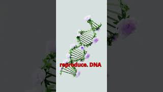 Video Title What is DNA and How Does It Work  Explained in 1 Minute nature dna science [upl. by Haim]