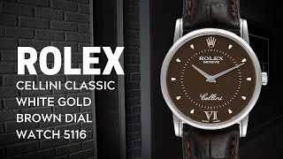 Rolex Cellini Classic White Gold Brown Dial Watch 5116  SwissWatchExpo [upl. by Laural]