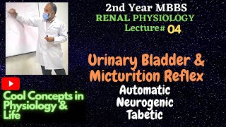 4Urinary Bladder amp Micturition Reflex  Automatic  Neurogenic  Tabetic  2ndYR MBBS RENAL [upl. by Elnore540]