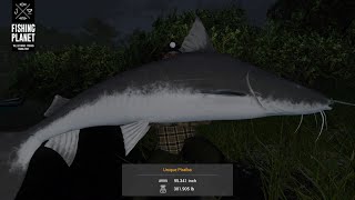 Unique Paraiba Catfish Guide At The Amazonian Maze  Fishing Planet [upl. by Mccreery]