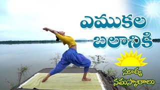 Surya Namaskar Yoga  Yoga For Beginners Morning  Dr Manthena Official [upl. by Mirabelle813]