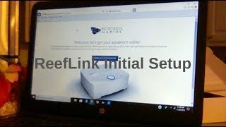 Reef Link Initial Setup  Explained [upl. by Onailerua]