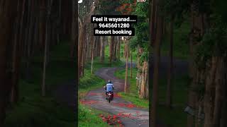 wayanad resort booking9645601280 [upl. by Bertilla]