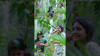 ലൂബിക്ക കൊണ്ടൊരു കിടുക്കാച്ചി ഐറ്റം by kallus shorts gayathriarun cookingvlog [upl. by Krawczyk162]