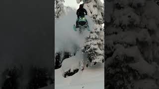 SkiDoo Freeride Ultimate Capability [upl. by Oulman]