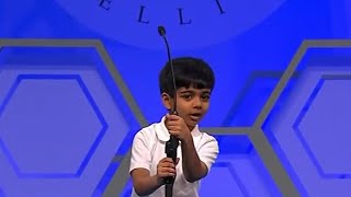 Adorable 6 Years old Akash  Scripps National Spelling Bee 2016  Round 2 [upl. by Bogusz]