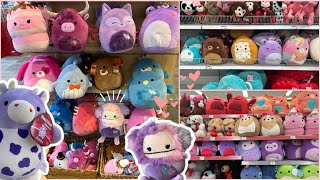 Squishmallow Hunting  VALENTINES DAY SQUISH GALORE [upl. by Apilef]