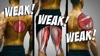 3 Muscle Imbalances SLOWING Your Gains Stop Neglecting These [upl. by Murdock]