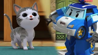 Jai un Chat│Classe de Sécurité Robocar POLI│Dessin Animé pour Bébé│Robocar POLI télé [upl. by Budge787]