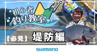 【魚釣りをわかりやすく解説】シマノ初心者釣り教室 ～堤防編～【堤防や防波堤で楽しく魚釣り】 [upl. by Ahsiak]