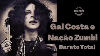 Gal Costa e Nação Zumbi  Barato Total [upl. by Lalat239]