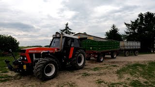 88 Zetor 16145  213 HP  transport of turkey manure 2 Straight pipe turbo amp engine sound [upl. by Namyl589]