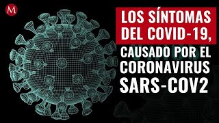 Los síntomas del covid19 causado por el coronavirus SARSCoV2 [upl. by Addie]