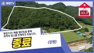 종료 반자연으로 살기 딱 좋은 풀하우스 삼시세끼 산삼 먹고 황토집과 숲속길에서 심신치유 [upl. by Rahm355]