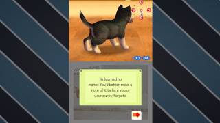 Lets Play Nintendogs Episode 1 Bringing Home The New Puppy [upl. by Lait273]