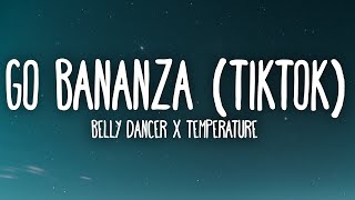 Bananza Belly Dancer x Neon Park TikTok Mashup Lyrics quotJust wanna see you touch the groundquot [upl. by Nnaeus]