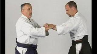 Aikido Nikyo Wrist Lock Defenses  Aikido Single Wrist Grab Self Defense [upl. by Sobmalarah877]