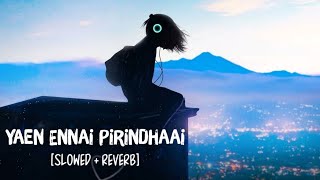 Yaen Ennai Pirindhaai SlowedReverb Song Lyrics  Sid Sriram [upl. by Herve241]