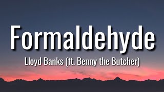 Lloyd Banks  Formaldehyde Lyrics feat Benny the Butcher [upl. by Meras869]