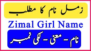 Zimal Name Meaning in Urdu English  Zeemal naam ka matlab  زمل نام کے معنی Baby Name Creator [upl. by Ahsele]