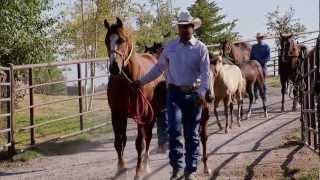 Montana Horse Ranch  Americas Heartland [upl. by Gilus721]