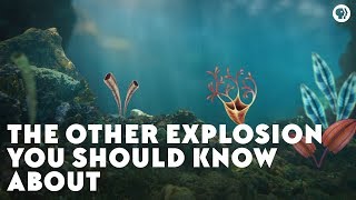 The Other Explosion You Should Know About [upl. by Birk]