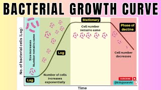 Bacterial Growth Curve in 2 minutes4 Phases of Microbial Growth Curve🦠 Microbiologybiologyexams4u [upl. by Ednalrym]