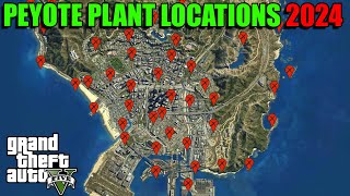 Peyote Plants Locations Map 2024  Where To Find The Peyote Plants  GTA 5 Online [upl. by Gwynne]