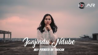 LAGU KARO TERBARU 2019  JANJINDU NDUBE  MEY PERMATA BR TARIGAN OFFICIAL VIDEO [upl. by Aicener]