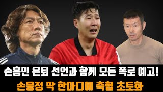 손흥민 은퇴 선언과 함께 모든 폭로 예고 2014년 브라질 월드컵 실패 손웅정의 한마디에 정몽규 충격 [upl. by Notelrahc]