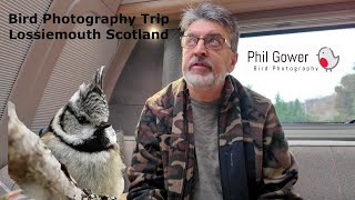 Bird Photography Trip to Lossiemouth Scotland [upl. by Lemahs906]