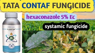 TATA CONTAF FUNGICIDE  TATA CONTAF  HEXACONAZOLE 5EC [upl. by Yenreit]