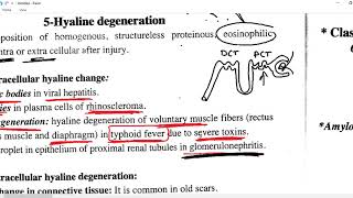 GENERAL PATHOLOGY 4  mucin hyaline fibrinoid book reading DR SAMEH GHAZY [upl. by Sumedocin]