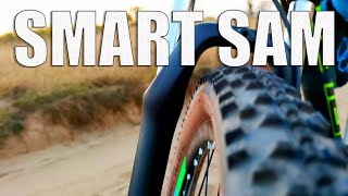 SCHWALBE Smart Sam All Round MTB Tyre [upl. by Kippie187]