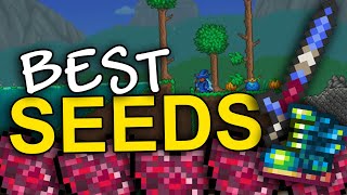 The BEST Terraria seeds 1449 [upl. by Godwin]